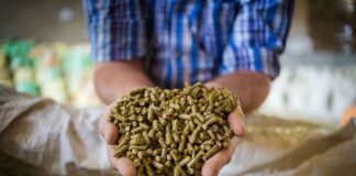 29.11.2022 EPKK infopäev „Sööda ohutus läbi ennetava tegevuse”