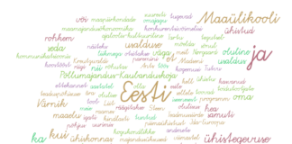 Ühistegevuse konverentsil räägiti sellest, kui oluline on usaldus maaelu edendamisel