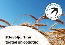 Pääsukesemärgi taotlusvoor on avatud!