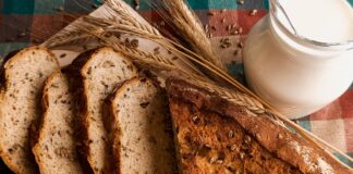 10.05.2023 EPKK infopäev „Toidutalumatused ja eritoidud”