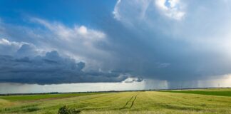 18.05.2023 EPKK infopäev „Süsinikupõllundus“