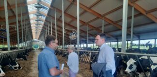 Regionaalminister Raplamaal