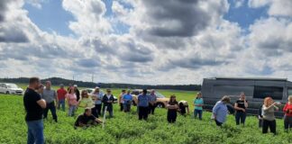 Jätkusuutlik silotootmine – põllupäev Hummuli Agros