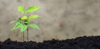 11.10.2023 EPKK konverents “Maheturg 2023” Allikas: Pixabay