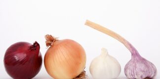 12.10.23 Infopäev “Eesmärk omaette: toiduraiskamise vähendamine, toidu annetamine ja toiduohutus”