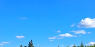 Kojaga liitus silo tootmise nõustaja Smartfor