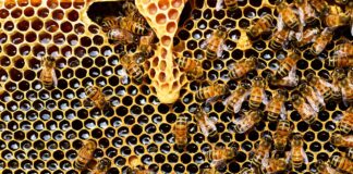 12.10.23 Mesindusseminar