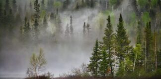 27.03.2024 Keskkonnatervise konverents 2024