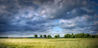 18.04.2024 “Turvasmuldadel majandamine ning maaparandussüsteemid keskkonna- ja kliimaeesmärkide kontekstis” Pildi allikas:Pixabay