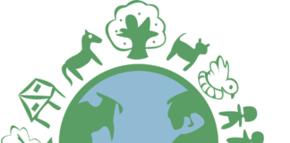 28.05.2025 infopäev veebis: ringmajanduse tootmis- ja tarbimismudelid Pildi allikas: Pixabay