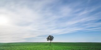 28.10.2025 infopäev: Uued väetamise tehnoloogiad orgaanilise väetisega