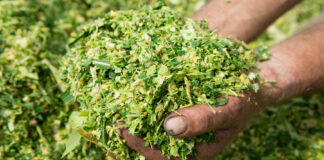 09.12.2024 seminar „Jätkusuutlik silotootmine – 2024. aasta silohooaja kokkuvõtted”