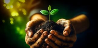 03.12.2024 infopäev “PRIA elektroonilise põlluraamatu praktiline kasutamine“