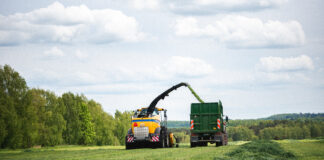 28.07.2025 Infopäev koos põllukülastustega: „Elurikkus põllul – Soone Farm“