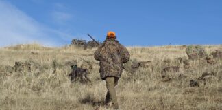 Koerad appi seakatku vastu: jahimehed saavad uue väljaõppe