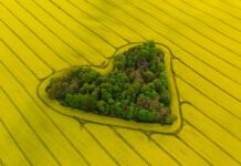 Kojaga liitus BASF Agricultural Solutions