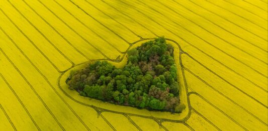 Kojaga liitus BASF Agricultural Solutions