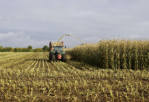 27.01.2026 infopäev veebis: Sööda keemiline ja bioloogiline ohutus ning kvaliteet