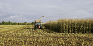 27.01.2026 infopäev veebis: Sööda keemiline ja bioloogiline ohutus ning kvaliteet
