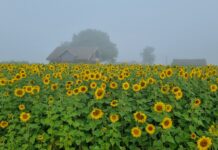 Kojaga liitus Kukevälja Talu OÜ