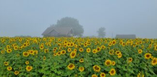 Kojaga liitus Kukevälja Talu OÜ