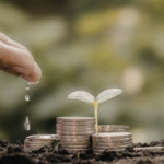 Pildi allikas: Pixabay