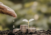 20.02.2026 infopäev: Kestlikkuse jätkusuutlik rahastamine Pildi allikas: Pixabay