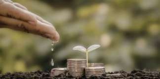 20.02.2026 infopäev: Kestlikkuse jätkusuutlik rahastamine Pildi allikas: Pixabay