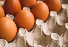 Eesti suurimad munatootjad lähevad üle puurivabadele süsteemidele hiljemalt 2035