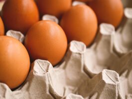 Eesti suurimad munatootjad lähevad üle puurivabadele süsteemidele hiljemalt 2035