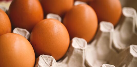 Eesti suurimad munatootjad lähevad üle puurivabadele süsteemidele hiljemalt 2035