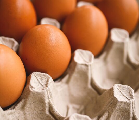 Eesti suurimad munatootjad lähevad üle puurivabadele süsteemidele hiljemalt 2035