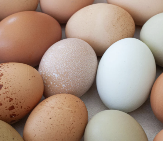 EPKK kutsub üles järgima õigusriigi põhimõtteid ja pidama kanakasvatuse üle faktipõhist arutelu