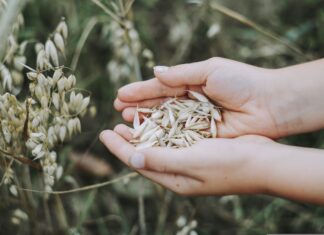 Kevad algab põllul otsustega, mis määravad kogu saagiaasta.