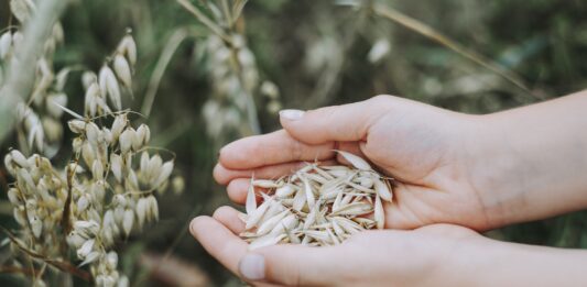 Kevad algab põllul otsustega, mis määravad kogu saagiaasta.