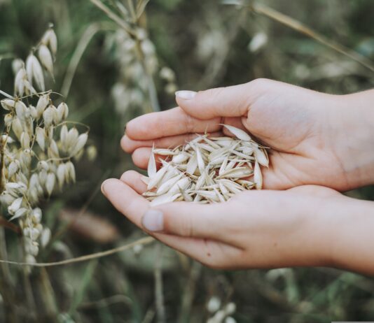 Kevad algab põllul otsustega, mis määravad kogu saagiaasta.